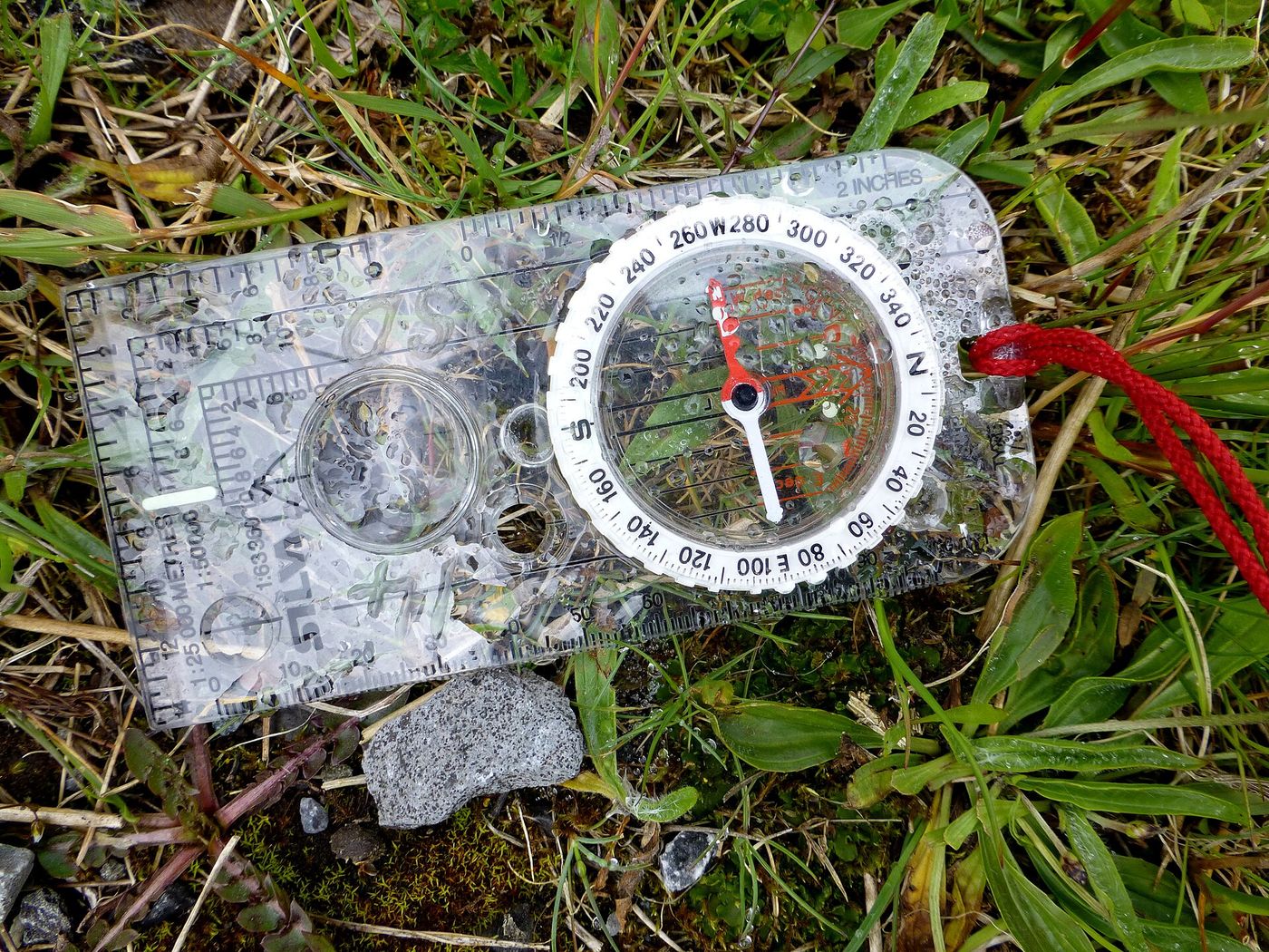 Hiker reading a map