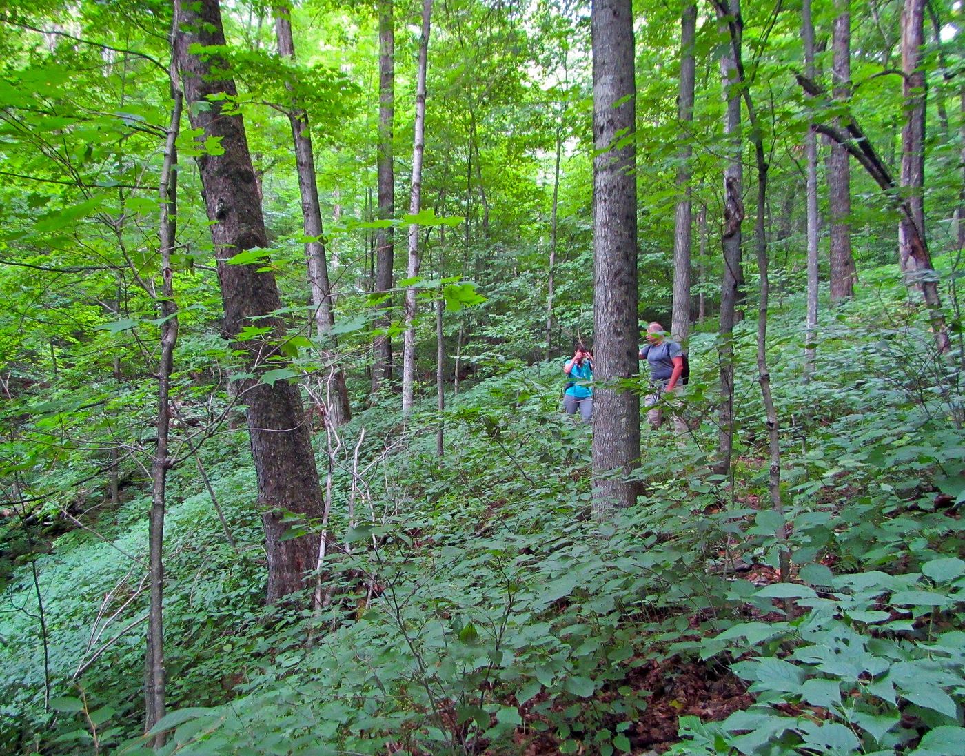 training: Get involved & give something back to the community (Search & rescue), part 2