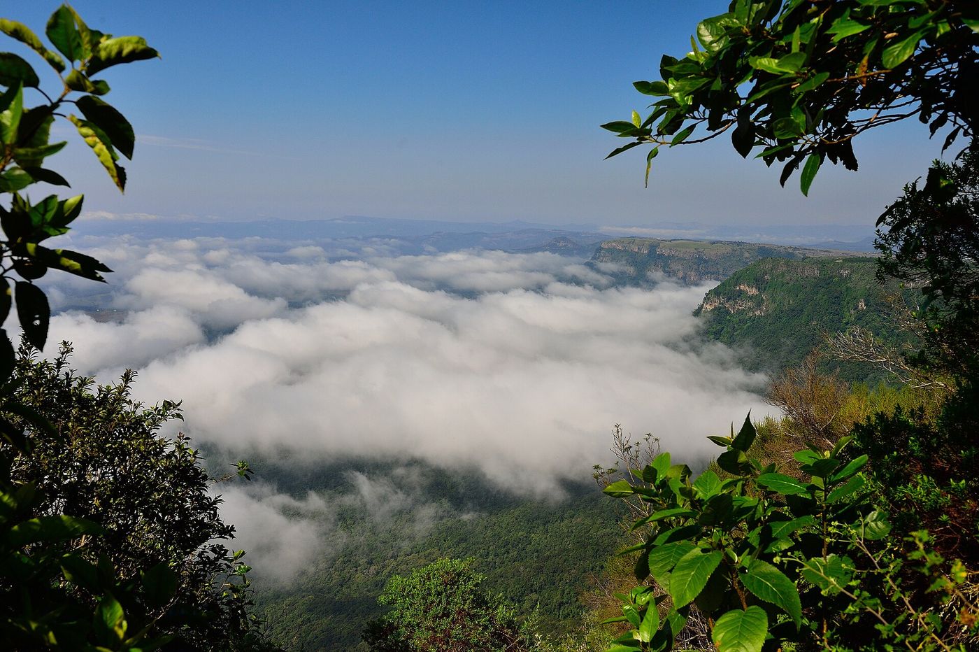 Drakensberg: To Judges or be Judged