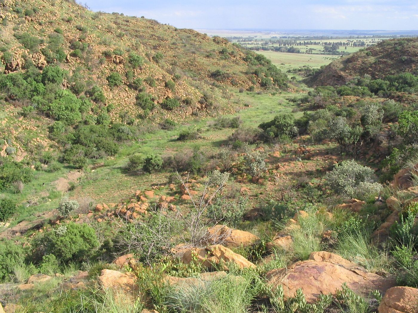 Suikerbosrand Hiking Trails Guide
